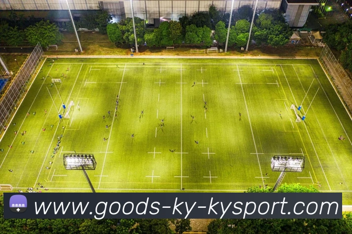 开云平台生态图